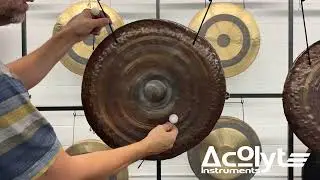 Acolyte GongWorks - 20