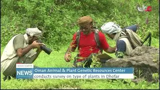 Oman Animal & Plant Genetic Resources Center conducts survey on type of plants in Dhofar