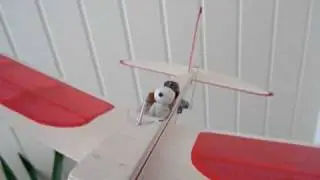Snoopy in Diddlerod