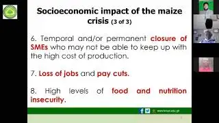 CCCFS' Experts Dialogue on The Ghanaian Maize Crisis