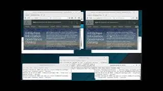 OMRS AdapterPattern IGC and IGC