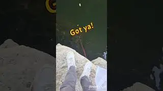 INVASIVE GOBY! #fishing #fish #goby #invasive #fyp #viralvideo #viralshorts