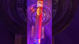 Cavalier Gen&egrave;ve White series limited release 2023 toro #cigarlife #cigarculture #cigarreviews