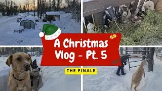 Подведение итогов Vlogmas + Что дальше ждет ферму?