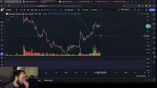 BCHG, LTCN, FILG and GXLM Price Analysis