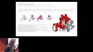 DYNAMICAL STUDY OF VIRAL... - Natalia Fagundes Borges Teruel - 3DSIG - Abstract - ISMB 2022