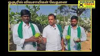 ஓசூரில் விவசாயிகள் வேதனை 