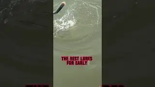 BEST Lures For Early Morning Bass Fishing! #shorts #fishing #bassfishing
