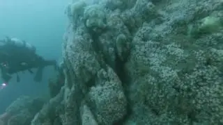 Scuba Diving the Ling Rocks, Cork, Ireland with UCC Sub Aqua Club