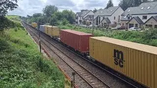 GBRF 66789 