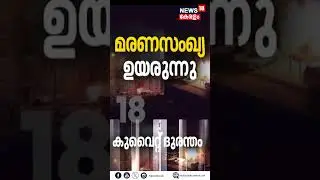 Kuwait Fire | 14 മലയാളികൾക്ക് ദാരുണാന്ത്യം; മരണസംഖ്യ ഉയരുന്നു | N18S | #shorts