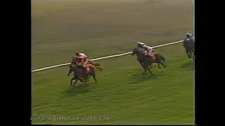 1991 Whitbread Gold Cup Docklands Express Inc Replay