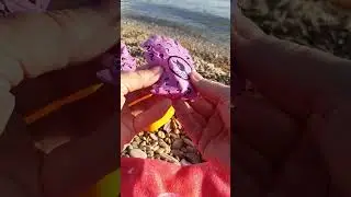 #барби #colorreveal #unboxing #vlog #barbie #surprise #sea #sia #сюрприз #распаковка #asmr #асмр