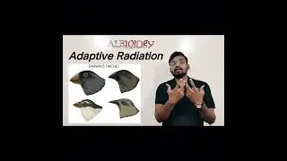 Adaptive Radiation | Darwin finches | Evolution of life | viral short | treding short