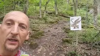 Chase the Coyote 2018