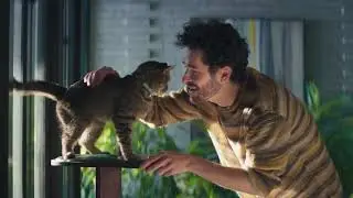 NexGard Spectra Cat Next Level Parasite Protection - TVC 15