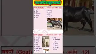 भैंस के प्रमुख नस्ले/बकरी के प्रमुख नस्ले Major Breeds of Buffalo Major Breeds of Goat #stateclasses