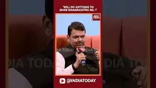 &lsquo;Will Do Anything To Make Maharashtra No. 1&rsquo;: Devendra Fadnavis