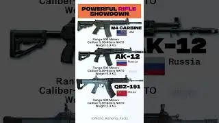 M4 Carbine vs AK-12 vs QBZ-191 Comparison