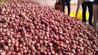 21 AUGUST 2024 BADNAWAR MANDI BHAV KOTESHWAR VEGETABLE COMPANY 1 no #PYAJKEBHAV