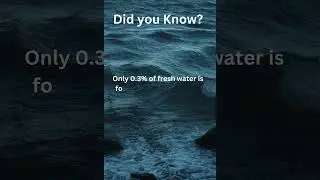 Water Facts #6  #protectwater #facts #shorts