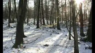 Mistress Winter