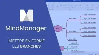 Mettre en forme les branches sur MindManager