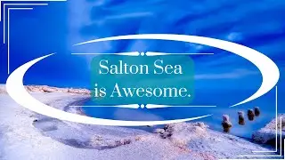 Salton Sea is Awesome!!! Oasis in the Middle of Nowhere!!🌵🏝🏜