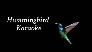 Remembering Sunday||All Time Low feat Juliet Simms||Karaoke (No BG vocals) harmonies, plus duet