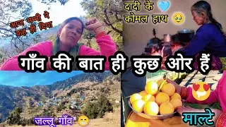 गाँव की बात ही कुछ ओर होती है 🩷🩵 #villagelife #trending #viral #1millionviews #anchalrwtchannel 🥰