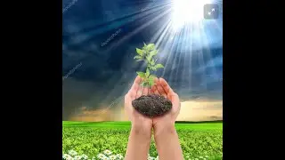 Easy way to learn Noun/ primary students/class 1/class 2/class 3/class 4
