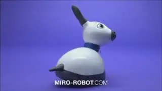 Overview of our Consequential Robotics Projects