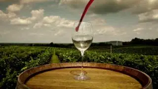 Virginia Tourism  October Is Wine Month In Virginia