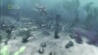 Ty Unwin - Burst of Life