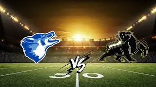 13u Coyotes vs Panthers 