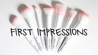 NEW Wet n Wild Brushes First Impressions / Review