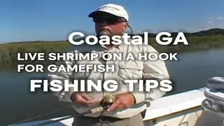 How to Hook Live Shrimp for Gamefish: Expert Charter Captain Tutorial