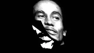 Gallyarte...n&ordm; 0003 (Bob Marley) (pintado a mano)