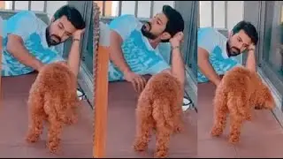 See How Ram Charan Playing With His Pet Dog At Home | Life Andhra Tv