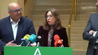 Alegaciones planificación estatal de la Red Eléctrica
