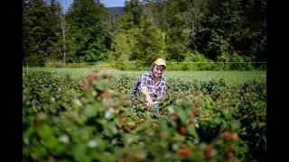 Berkshire Grown Keeps Farmers Farming!