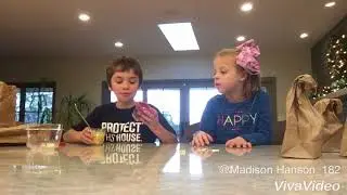 Landon vs Madison brown bag challenge