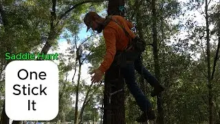 Как я охотился с седлом на одной палке | Crawford Quest