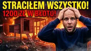 Lis porwał moje kury warte 1200 zł! 😱 OGROMNE STRATY na farmie