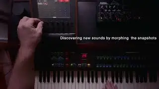 Sound sculpting with Electra One /w Rhodes Chroma
