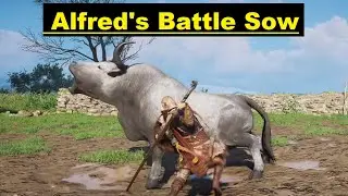 Alfred's Battle Sow - Assassin's Creed Valhalla! #ACValhalla - Unlimited Gamer