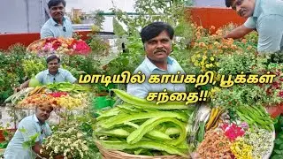 நம்ம மாடியில் காய்கறிகள், மற்றும் பூக்கள் மார்கெட்டை சுற்றி பார்க்கலாம் வாங்க!!