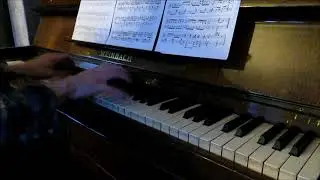 Brier Patch Rag (by Tom Brier)
