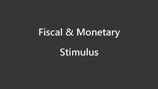 Flow of Money - Fiscal & Monetary Stimulus