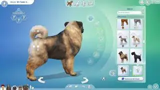 Jaimie makes some dogs